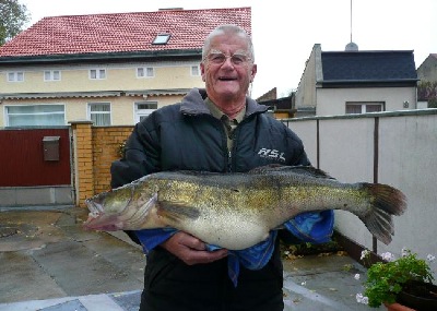 kapitaler Zander